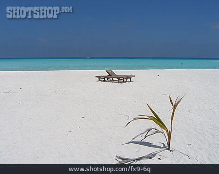 
                Strand, Pflanze, Liegestuhl, Malediven                   