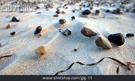
                Sand, Stein, Seetang                   