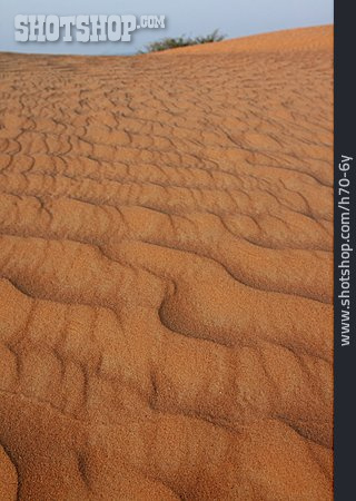 
                Wüste, Sand, Sandverwehung                   