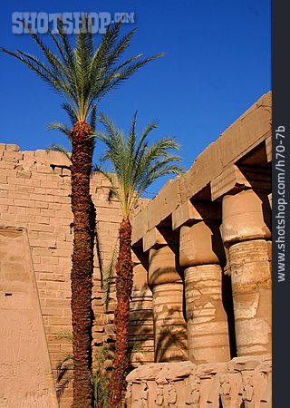 
                Palme, Karnak, Karnak-tempel                   