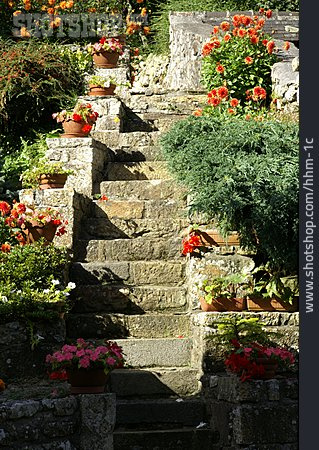 
                Garten, Blumen, Treppe                   