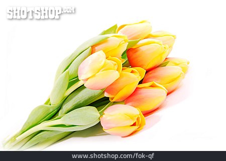 
                Tulpe, Blumenstrauß, Tulpenstrauß                   