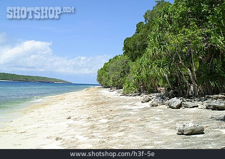 
                Strand, Dschungel, Sandstrand, Osttimor                   