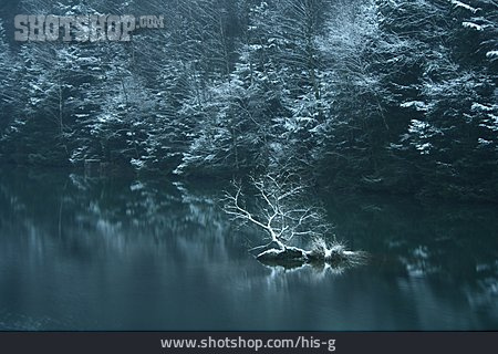 
                See, Winter, Insel, Waldsee                   