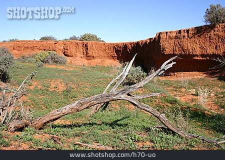 
                Australien, Uluru-kata-tjuta-nationalpark                   