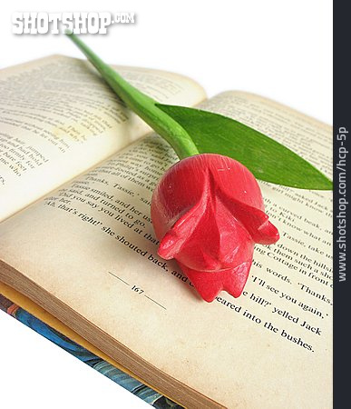 
                Buch, Holzblume                   