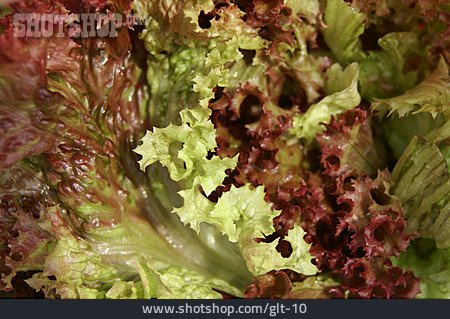 
                Salat, Salatblatt                   
