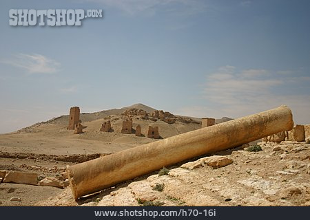 
                Archäologie, Säule, Ruine, Palmyra                   