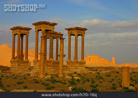 
                Säule, Ruine, Palmyra                   