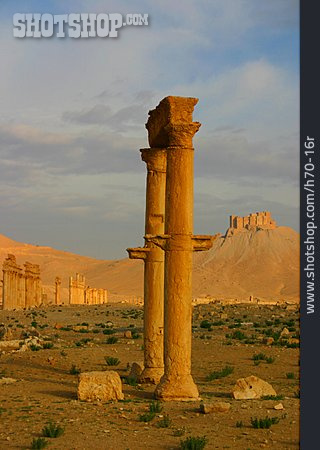 
                Säule, Palmyra                   