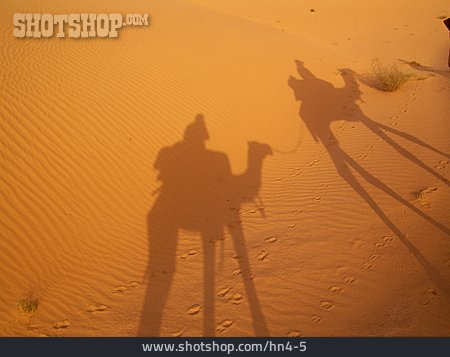 
                Wüste, Schatten, Reiter, Kamel                   