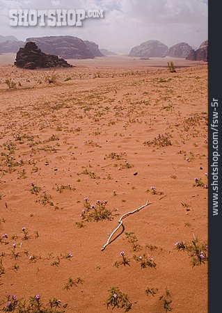 
                Wüste, Jordanien, Wadi Rum                   