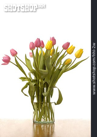 
                Blumenstrauß, Tulpen                   