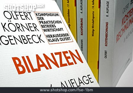 
                Fachbuch, Fachliteratur, Finanzbuchhaltung                   