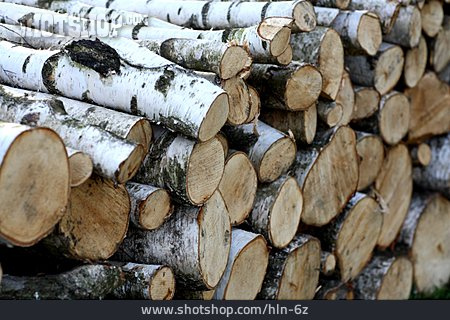 
                Holzstapel, Baumstamm                   