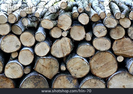 
                Holzstapel, Baumstamm                   