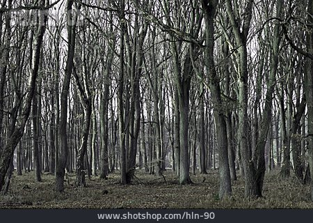 
                Wald                   