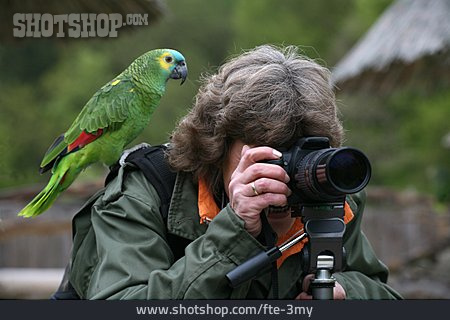 
                Fotografin, Blaustirn-amazone, Tierfotografie                   