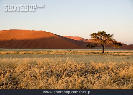 
                Wüste, Weite, Steppe, Namibia                   