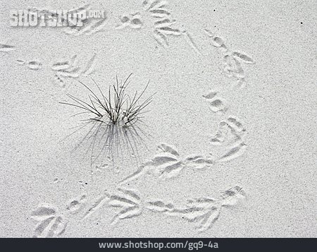 
                Natur, Sand, Fußspur                   