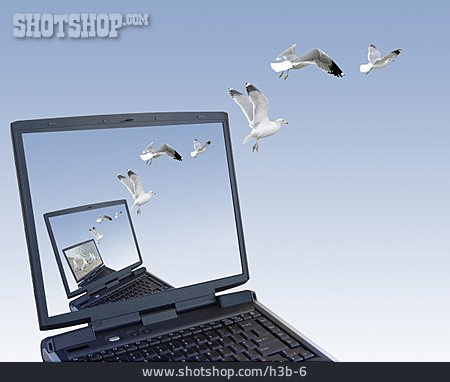 
                Fliegen, Freiheit, Laptop, Möwe                   