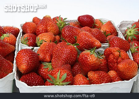 
                Erdbeere, Frucht                   