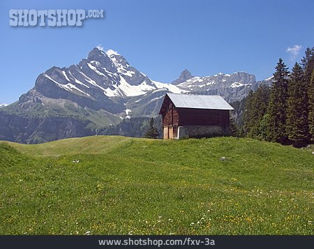 
                Gebirge, Hütte, Schweiz, Alm                   