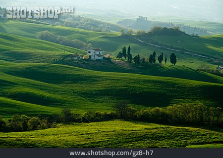 
                Landschaft, Hügellandschaft, Toskana                   