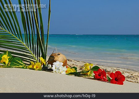 
                Reise & Urlaub, Strand, Karibik                   