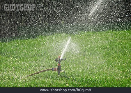 
                Wasserstrahl, Spritzen, Bewässern, Sprinkler, Rasensprenger                   