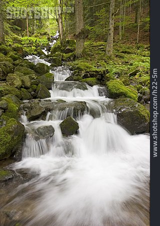 
                Wasserfall, Wald, Gebirgsbach, Fließen                   