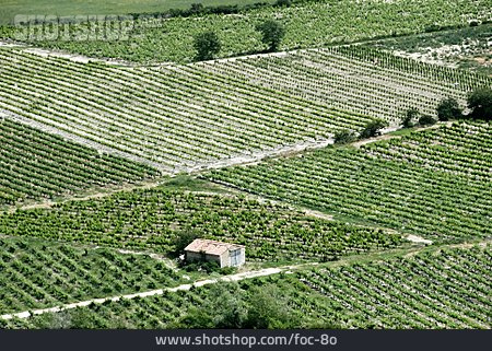 
                Landwirtschaft, Frankreich                   