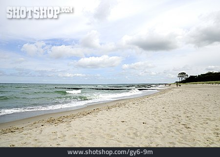 
                Strand, Ostsee, Fischland                   