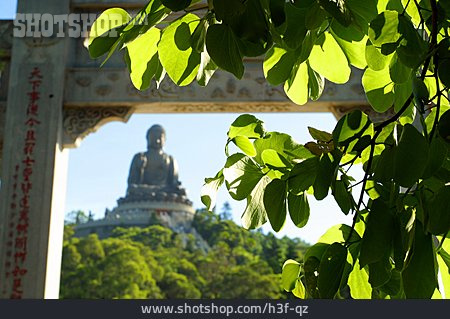
                Kloster, Buddha, Po Lin                   