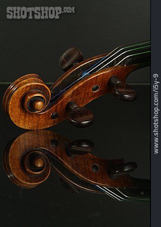 
                Geige, Geigenschnecke                   