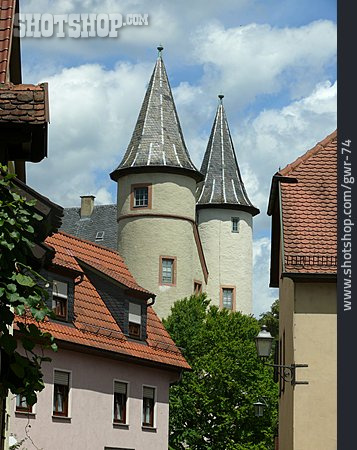 
                Spessartmuseum, Lohrer Schloss                   