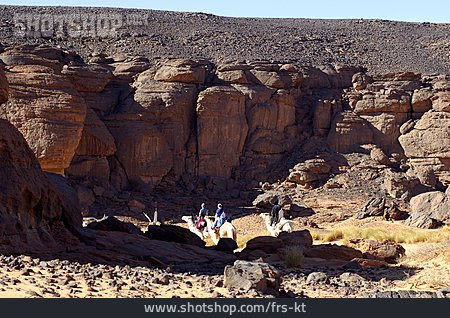 
                Action & Abenteuer, Libyen, Expedition, Karawane                   