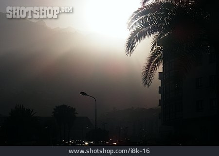 
                Silhouette, La Palma                   