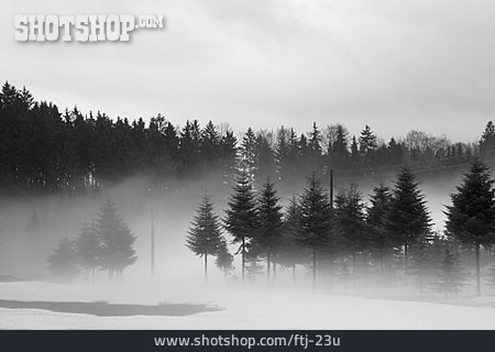 
                Landschaft, Nebel, Trüb                   