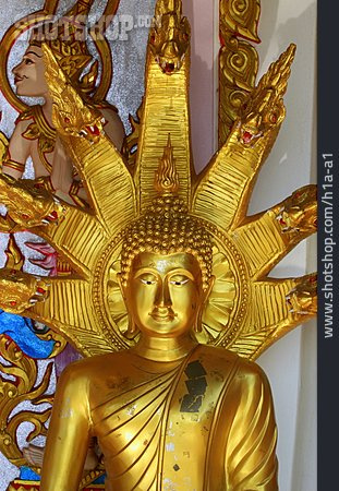 
                Buddhismus, Statue, Buddha                   
