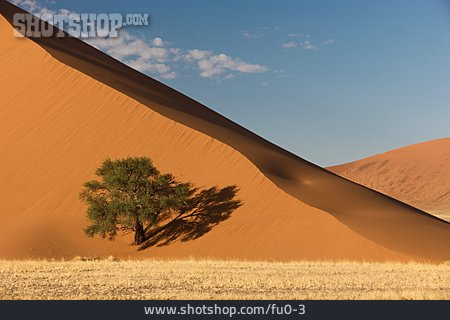 
                Wüste, Afrika, Sanddüne, Sossusvlei                   