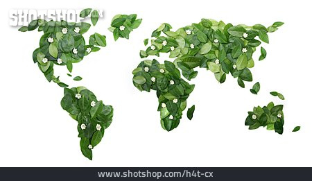 
                Welt, Weltkarte, Pflanzenblatt                   