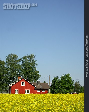 
                Wohnhaus, Haus, Schweden, Skandinavien                   