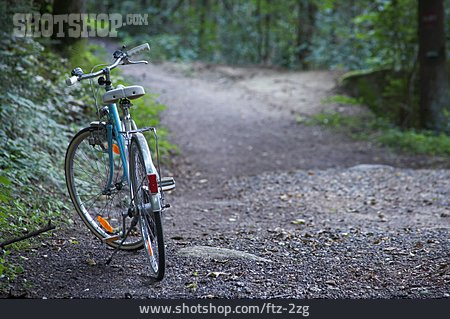 
                Weg, Fahrrad, Waldweg                   