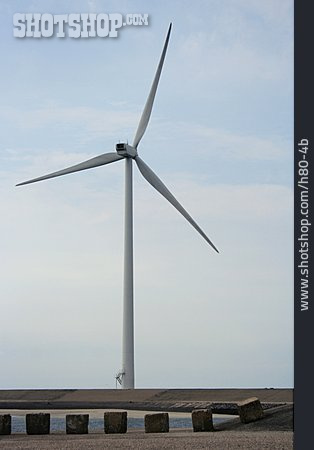
                Wind Power, Pinwheel                   