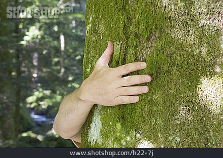 
                Baum, Naturschutz, Hand                   