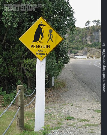
                Verkehrsschild, Pinguin, Neuseeland                   
