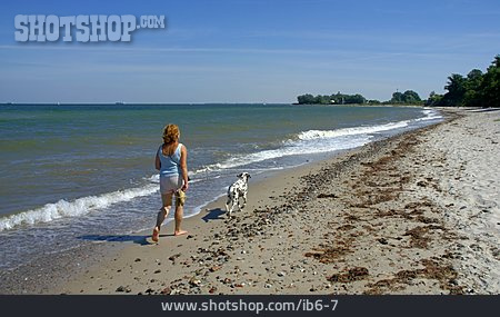
                Frau, Strand, Hund, Strandspaziergang                   