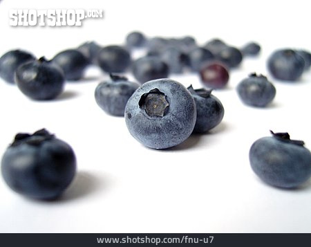 
                Blueberry                   