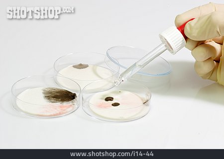 
                Petrischale, Bakterien, Mikrobiologie, Pilzkultur                   